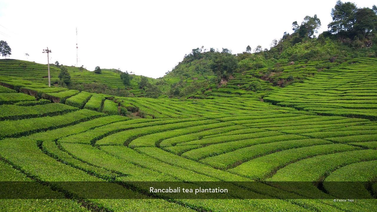 Zen Premium Near Rumah Mode Bandung Dış mekan fotoğraf